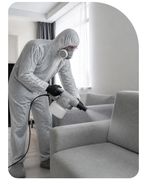 Профессиональная дезинфекция мебели в Березниках по цене от 1545 р. | Сенат-Брз